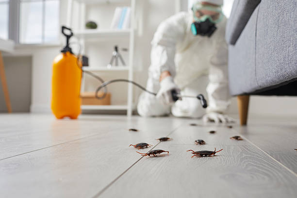 Commercial Kitchen Cockroach Control in Half Moon